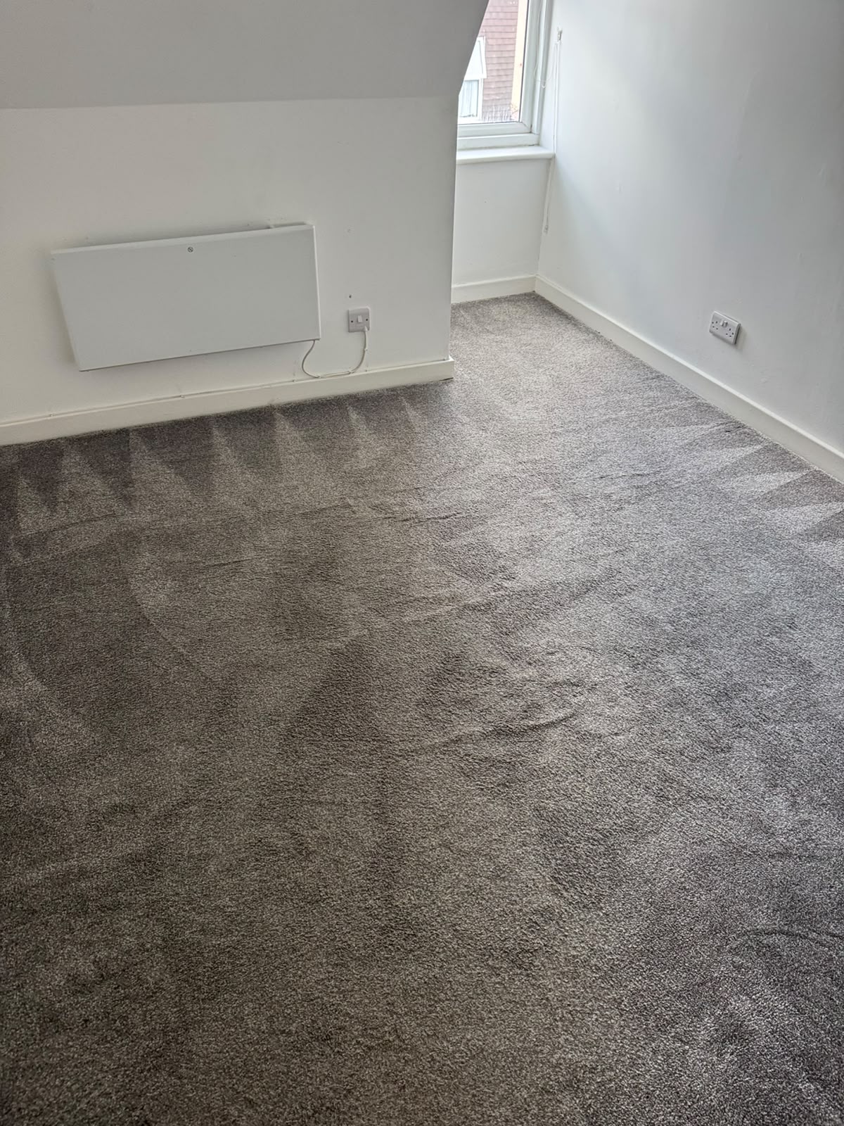 High-traffic carpet cleaned with hot-water extraction