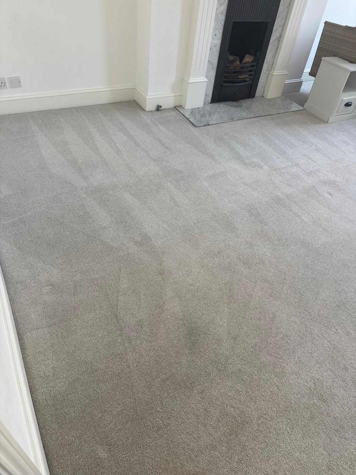 Carpet