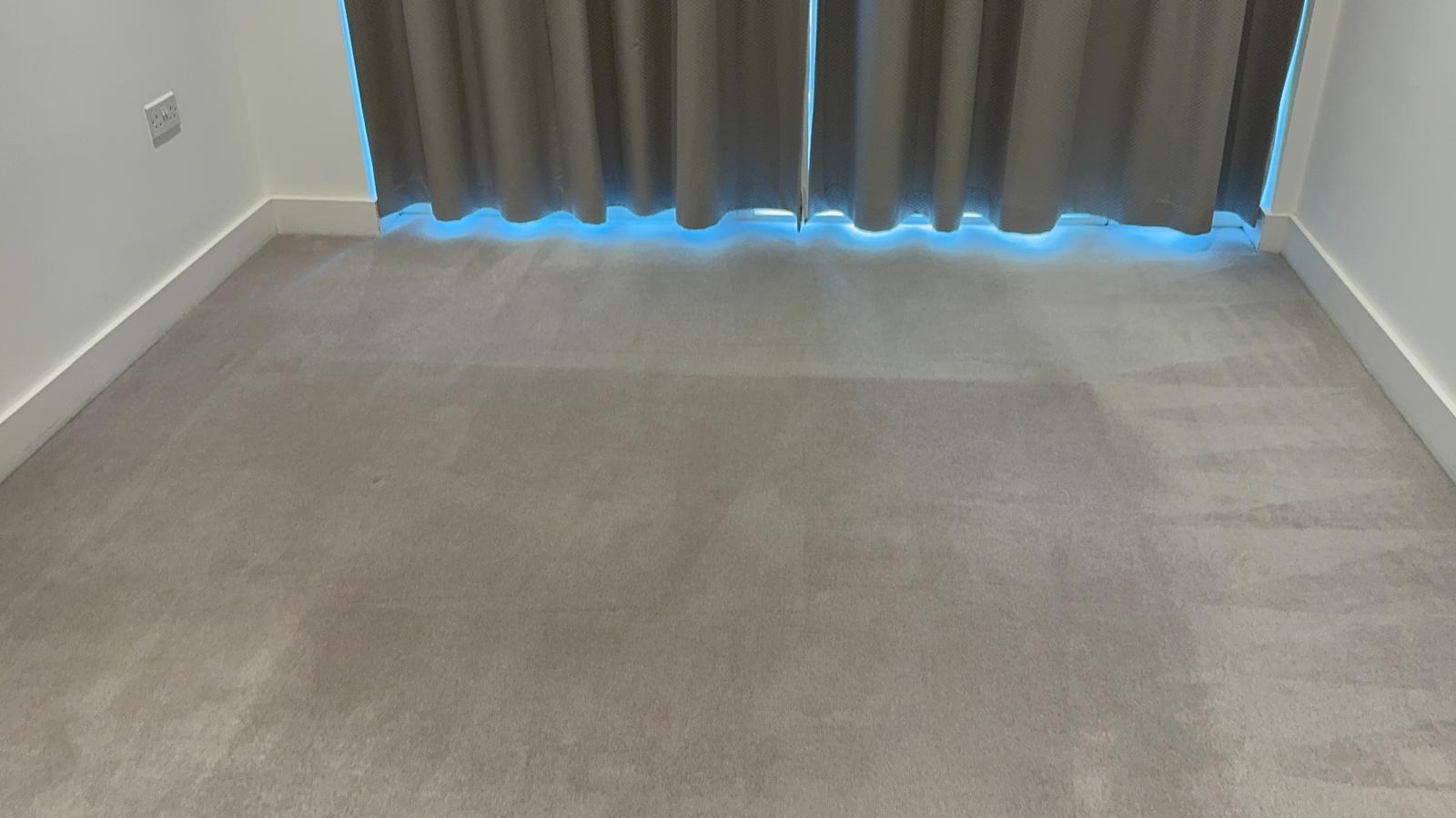 Carpet