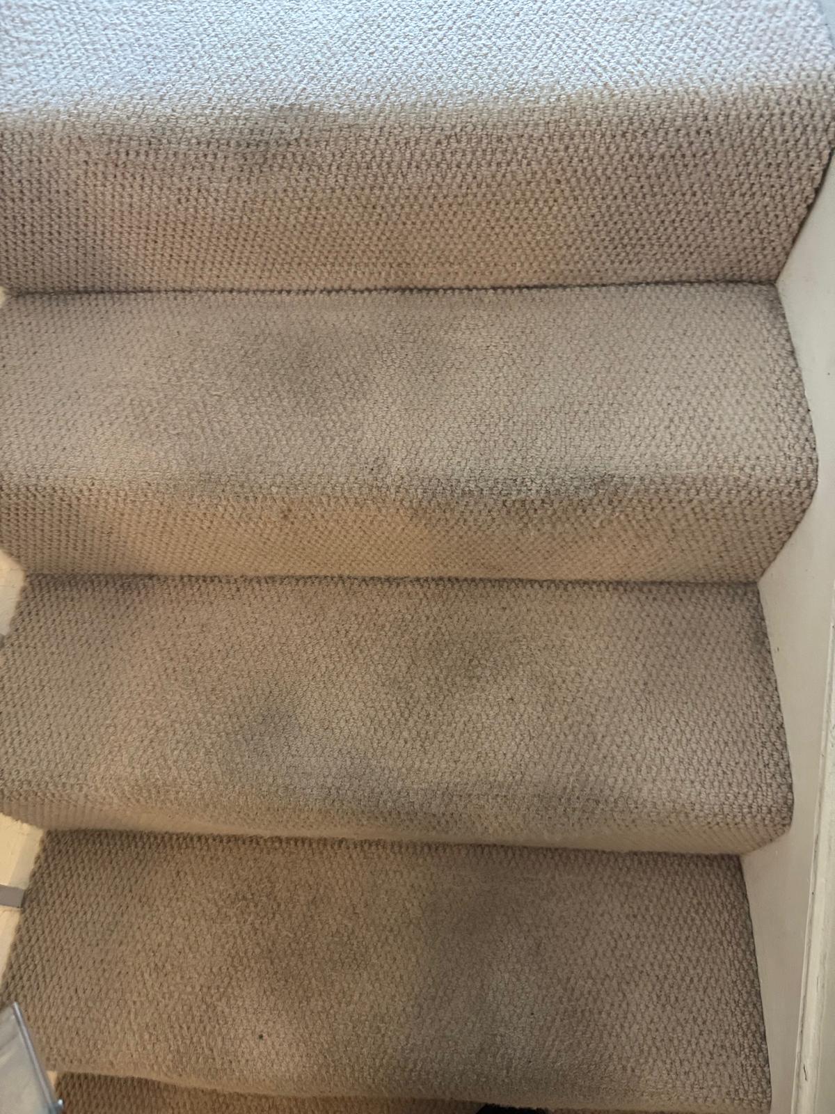 Stair runner — stain lift — before
